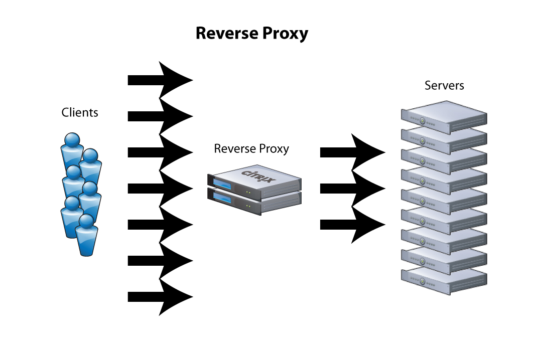 proxy vs reverse proxy